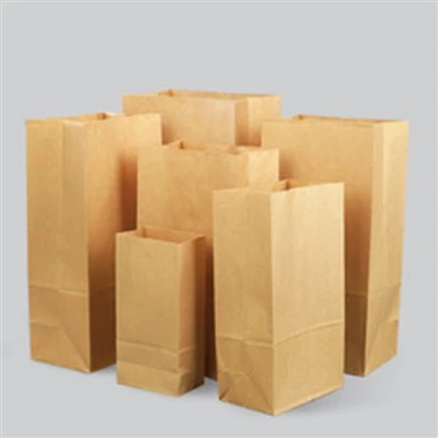 Bolsa de papel